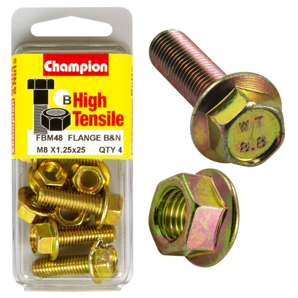 HIGH TENSILE ZINC METRIC FLANGE BOLT & NUT PACK